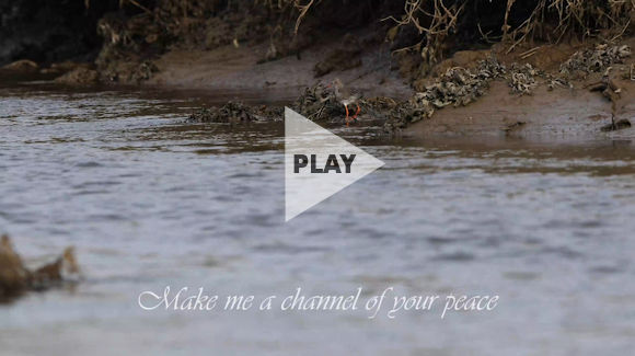 Make me a channel of your peace